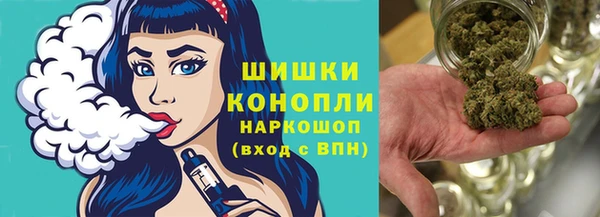 бошки Белокуриха