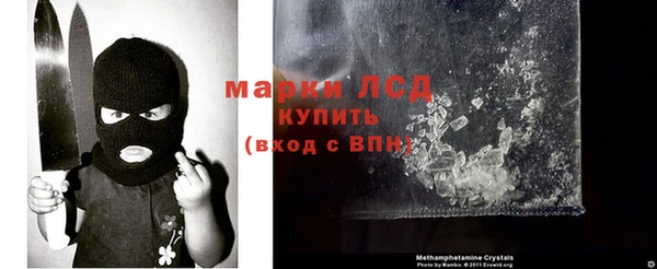бошки Белокуриха