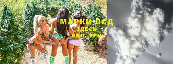ГАЛЛЮЦИНОГЕННЫЕ ГРИБЫ Беломорск