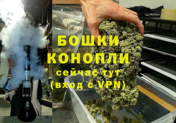 ГАЛЛЮЦИНОГЕННЫЕ ГРИБЫ Беломорск