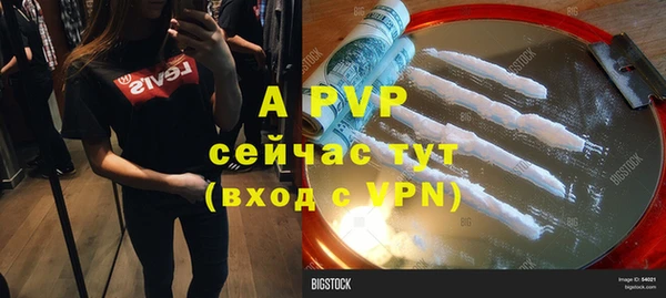 бошки Белокуриха