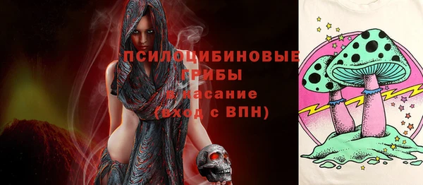 бошки Белокуриха