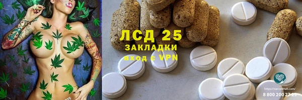 ГАЛЛЮЦИНОГЕННЫЕ ГРИБЫ Беломорск