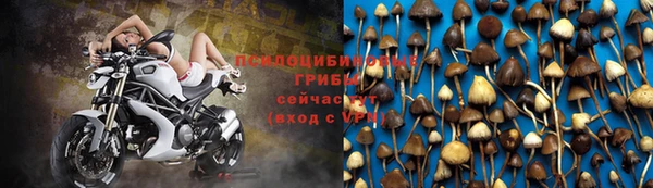 ГАЛЛЮЦИНОГЕННЫЕ ГРИБЫ Беломорск