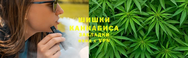 бошки Белокуриха