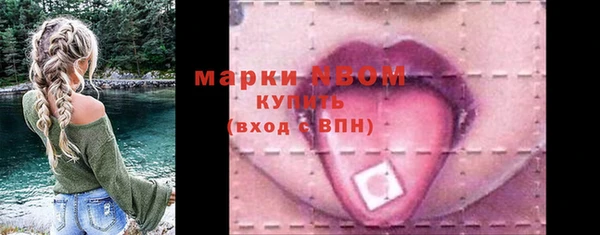 бошки Белокуриха
